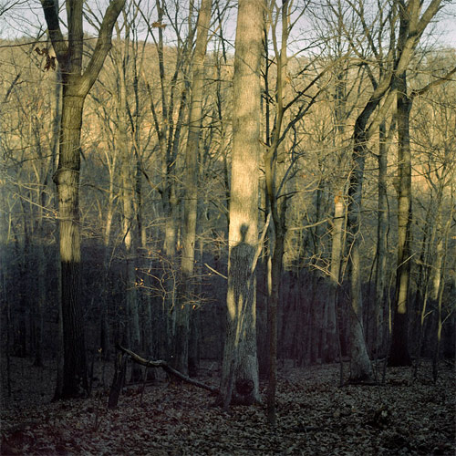 andrew tomchyshyn photographer photography
