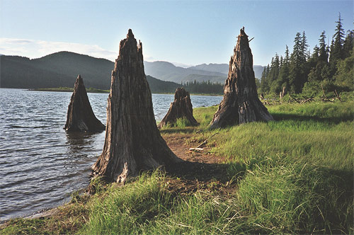 photographer photography anna verlet shelton