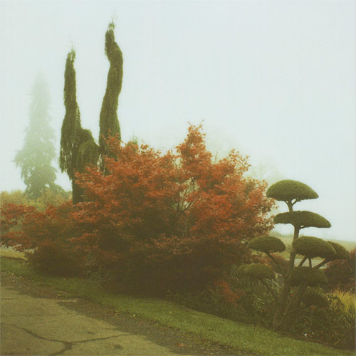 photographer photography anna verlet shelton