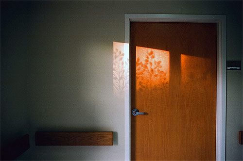 clare kelly photographer photography los angeles