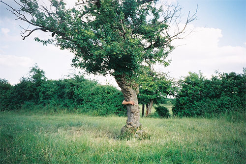 craig nunn photographer photography limbs series