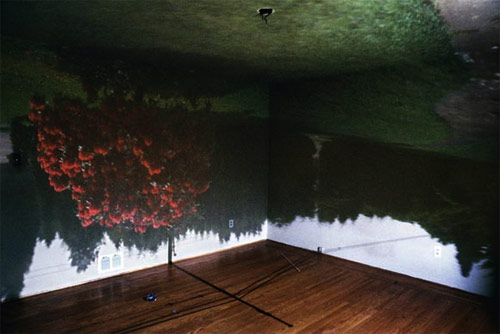 james nizam vancouver artist camera obscura anteroom photographer photography