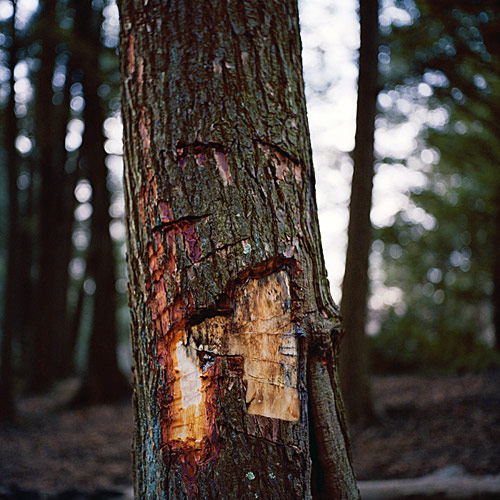 joe leavenworth photographer photography