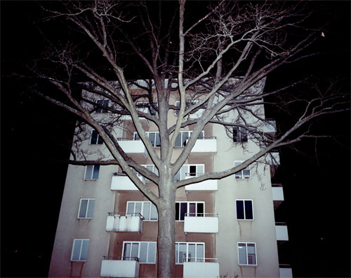 jonas loiske photographer photography