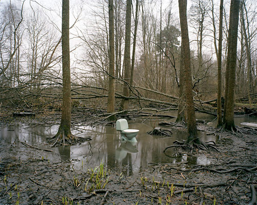 photographer lina jaros photography
