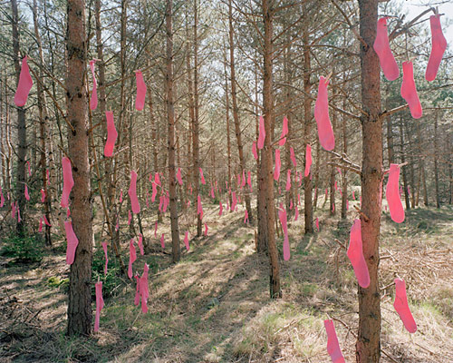 photographer lina jaros photography