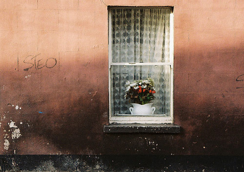 sarah mclean photographer photography