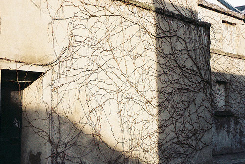 sarah mclean photographer photography