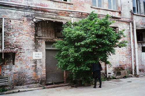 tang chan photographer photography china