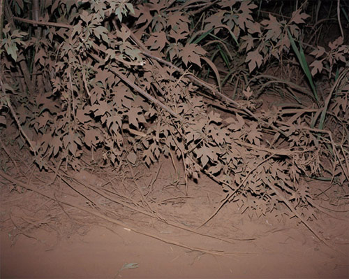 viviane sassen photographer photography amsterdam