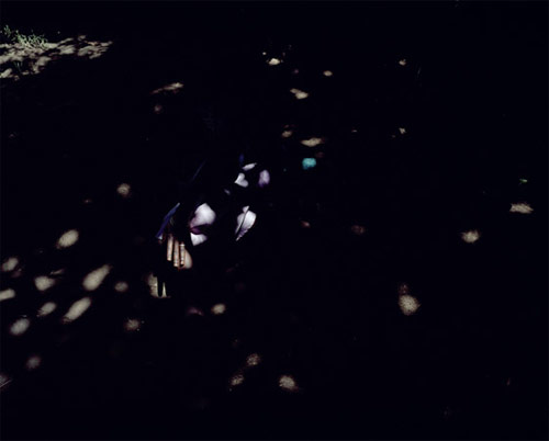 viviane sassen photographer photography amsterdam