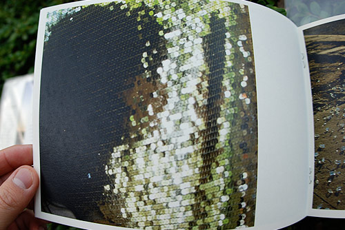 0_100 editions photography fanzine publication milan photographer