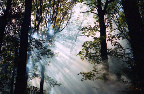 ariane schrack photographer photography