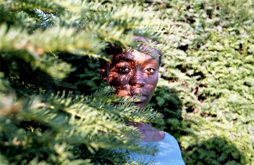 ariane schrack photographer photography