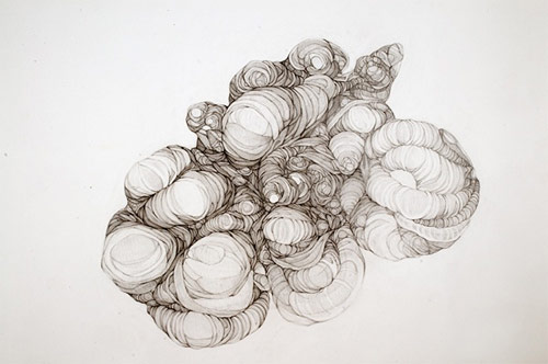 drawing berlin artist christa joo hyun dangelo