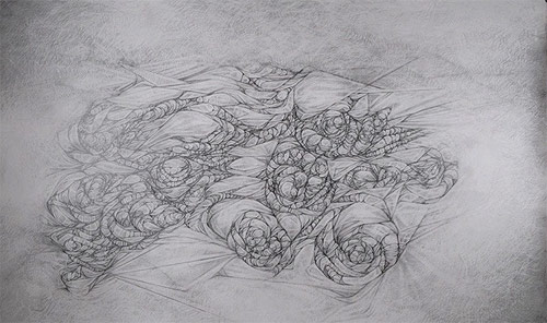 drawing berlin artist christa joo hyun dangelo