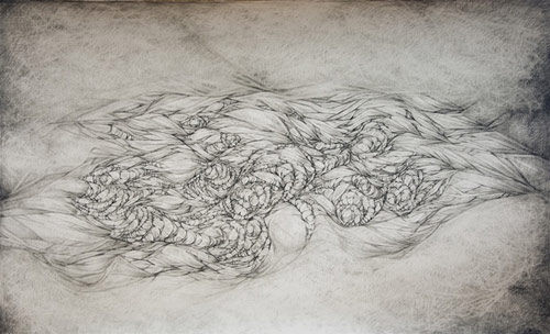 drawing berlin artist christa joo hyun dangelo