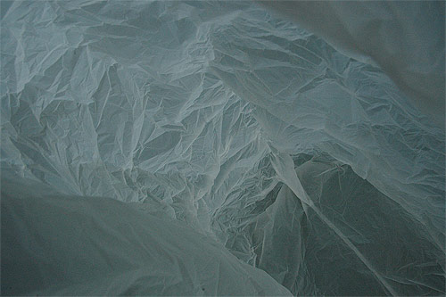 Antarctica in a bag by François Delfosse