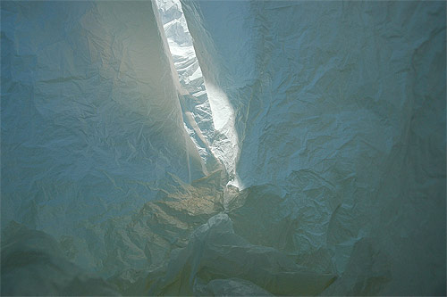 Antarctica in a bag by François Delfosse