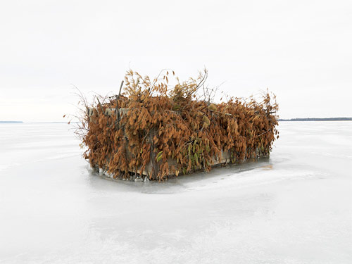 dave jordano photographer photography duck blinds