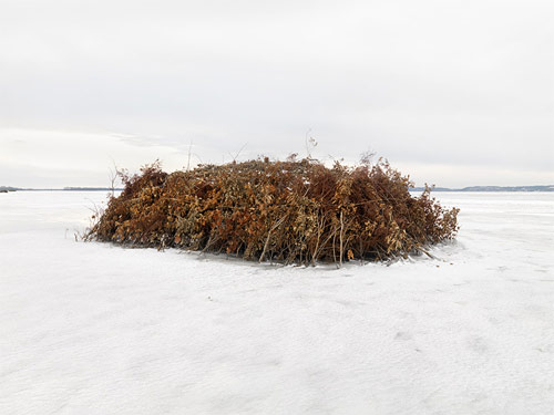 dave jordano photographer photography duck blinds