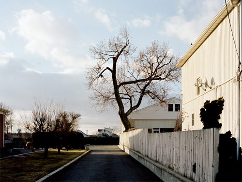 david la spina photographer photography new york