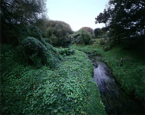 greta anderson photographer photography