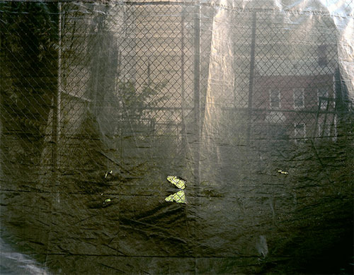 luis mallo photographer photography