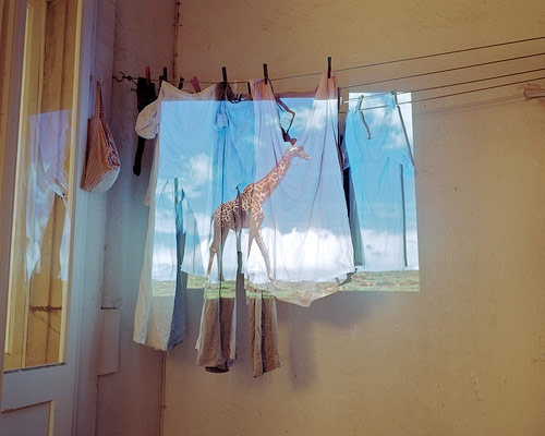 marlon kowalski photographer photography