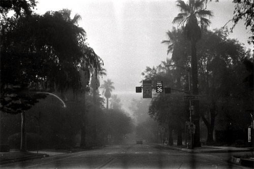olivia crawford photographer photography
