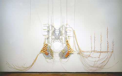 adriane colburn artist paper cut installation
