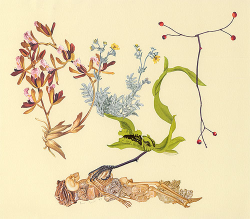collage artist Alexis Anne Mackenzie