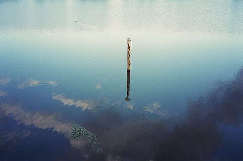 Photographer Anna Shelton