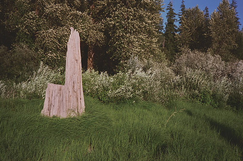 Photographer Anna Shelton