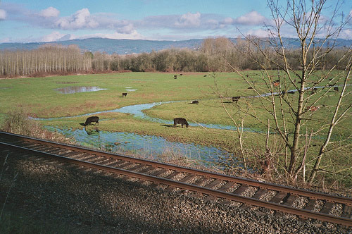 Photographer Anna Shelton