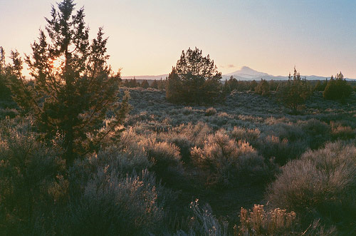 Photographer Anna Shelton