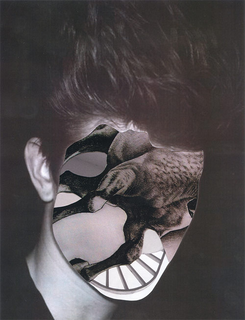 eamonn harnett photographer photography