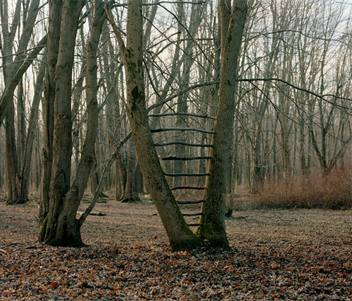 photographer photography jacob wolf miller jake sculptures