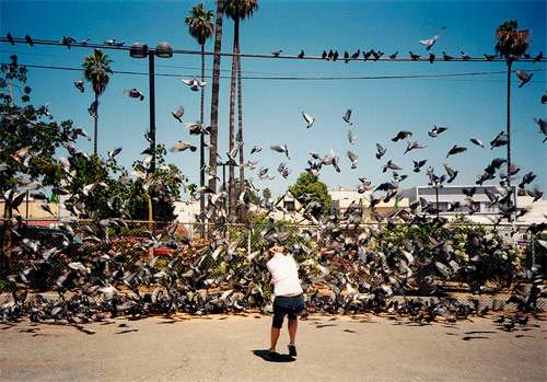 james ryang photographer photography