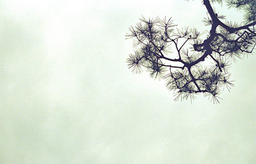 james ryang photographer photography