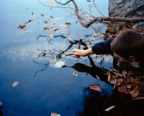 johanna warwick photographer photography