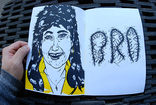 Artist illustrator Kelsey Dake nice zine