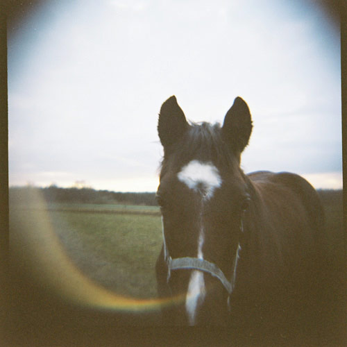 kim holtermand photographer still life Kim Høltermand lomography