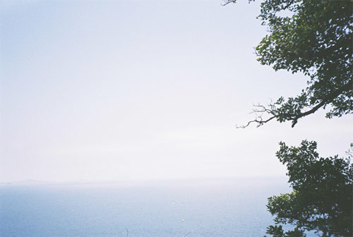 nina ahn photographer photography