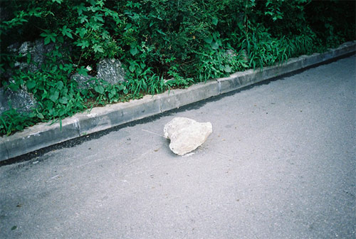 nina ahn photographer photography