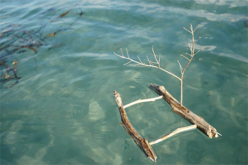 Pooh Sticks by Lenny boats