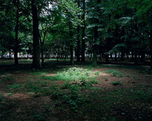 satomi shirai photographer photography