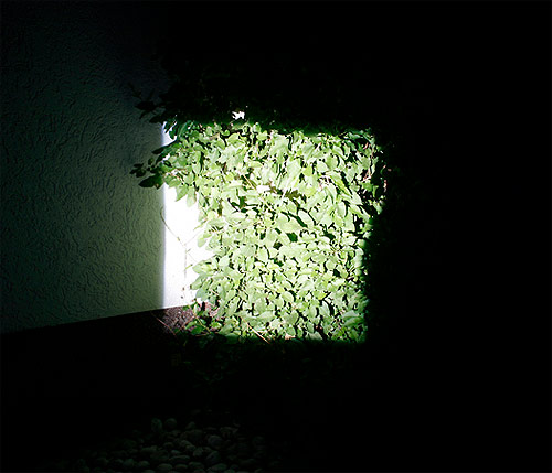 Jana Voigt photographer photography
