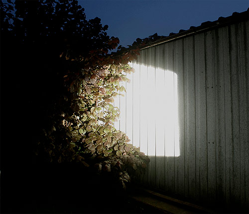 Jana Voigt photographer photography