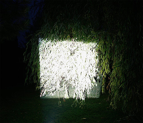 Jana Voigt photographer photography
